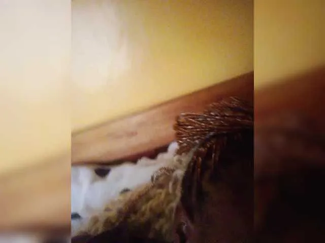 Badass4-1 on BongaCams 