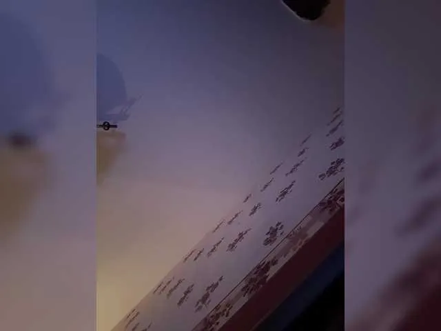 Rinaaamur on BongaCams