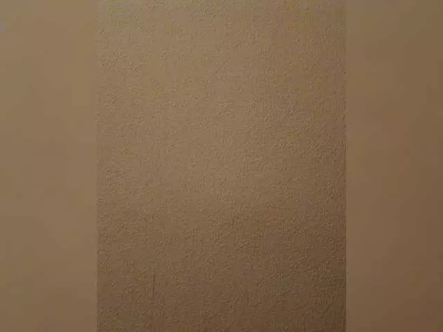 xxxharmonyyy on BongaCams 